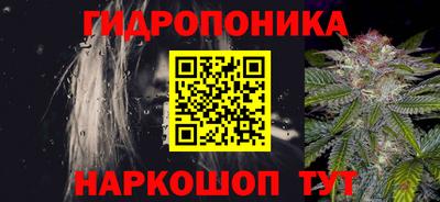 спиды Кимры