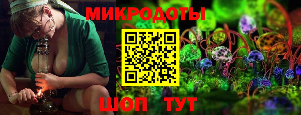 Галлюциногенные грибы Cubensis  Вход с VPN  Тельмана 